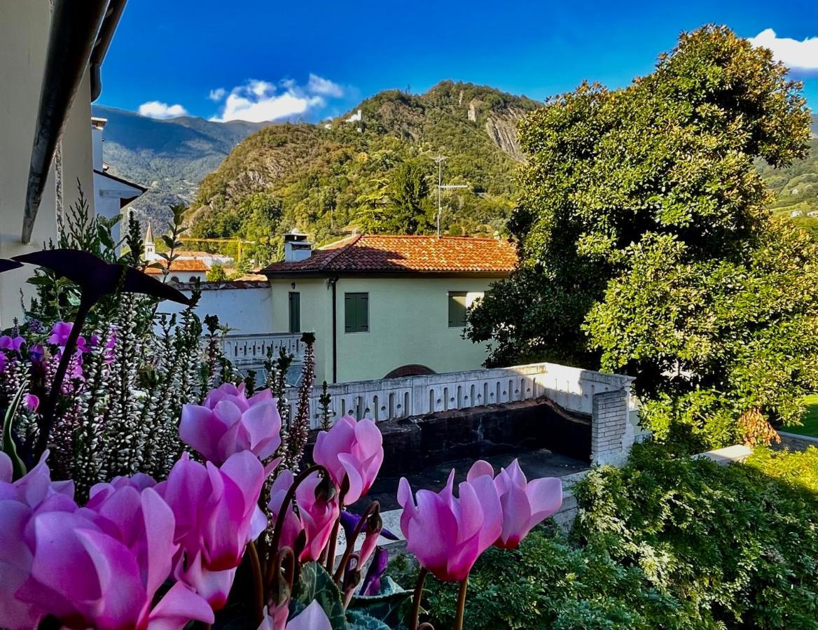 Casa Alpha Hotell Vittorio Veneto Eksteriør bilde