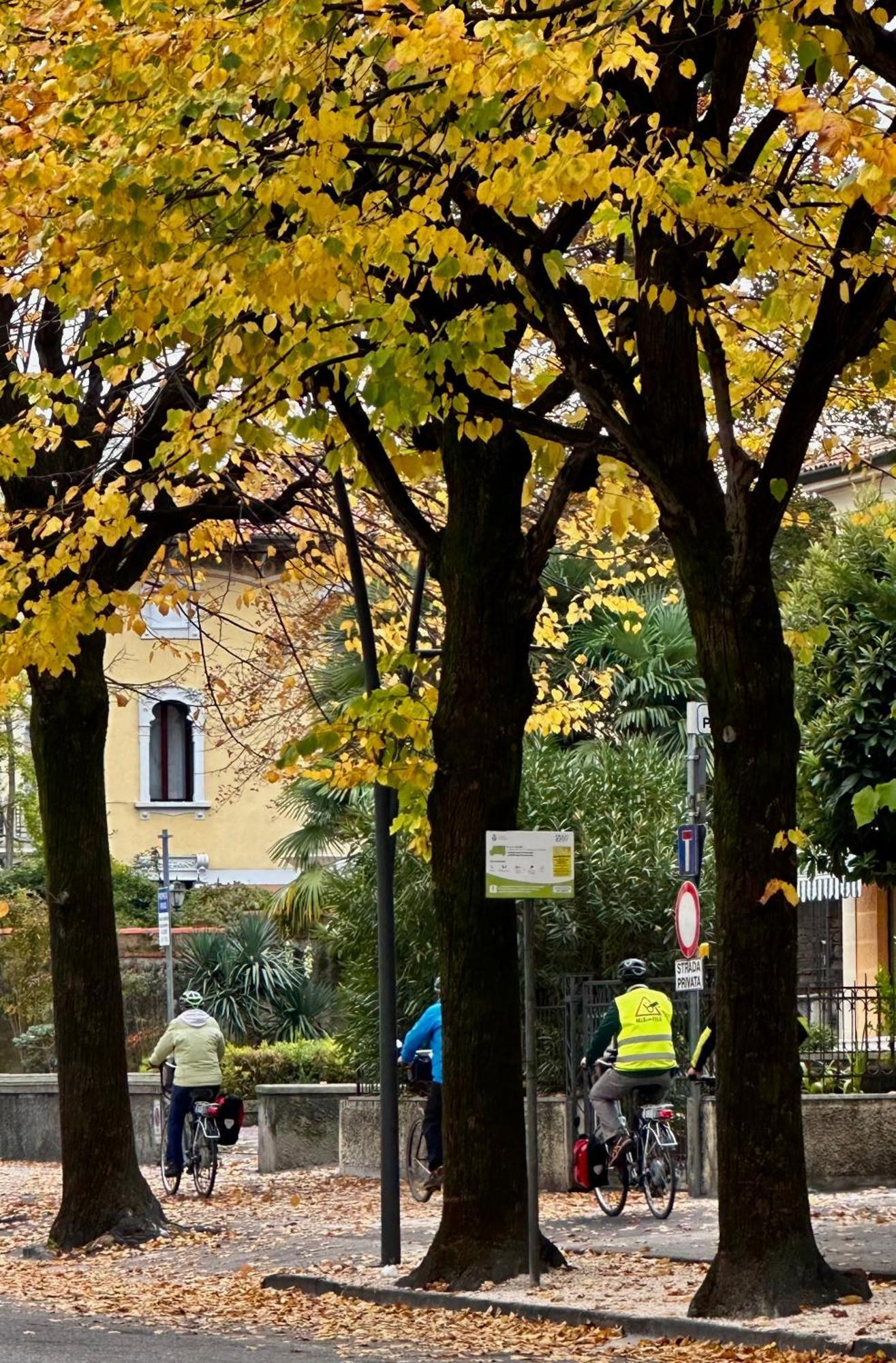 Casa Alpha Hotell Vittorio Veneto Eksteriør bilde